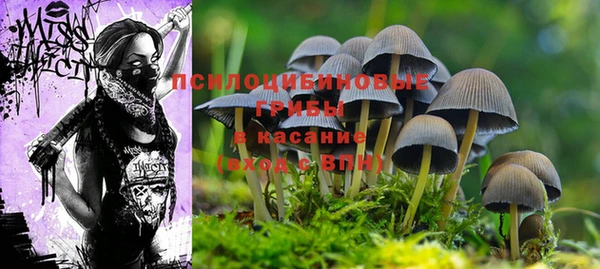 MESCALINE Богородицк