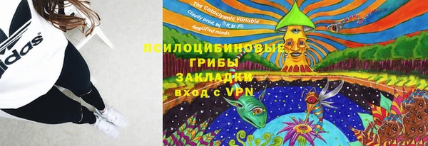 PSILOCYBIN Билибино