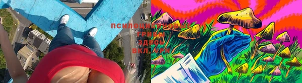 кокаин колумбия Болхов